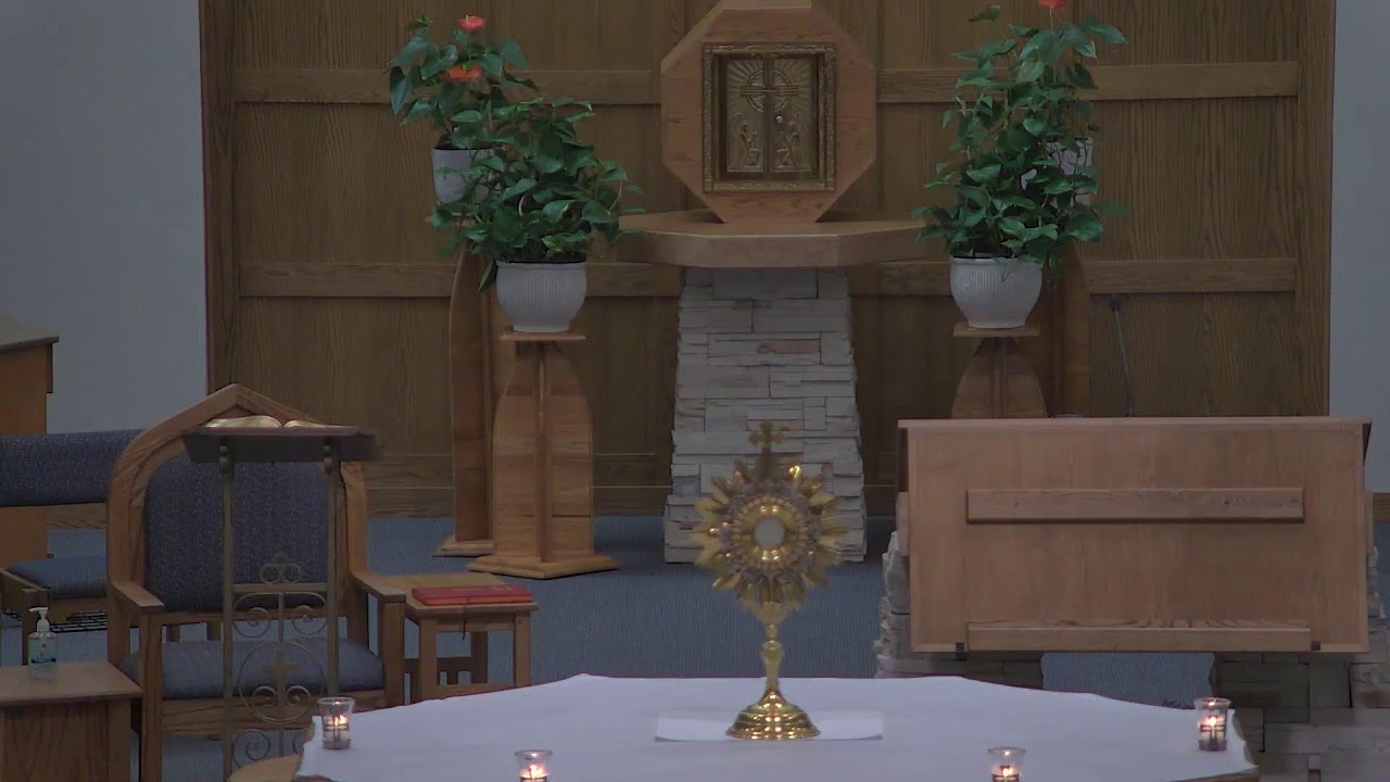 Daily Mass 2/12/2026