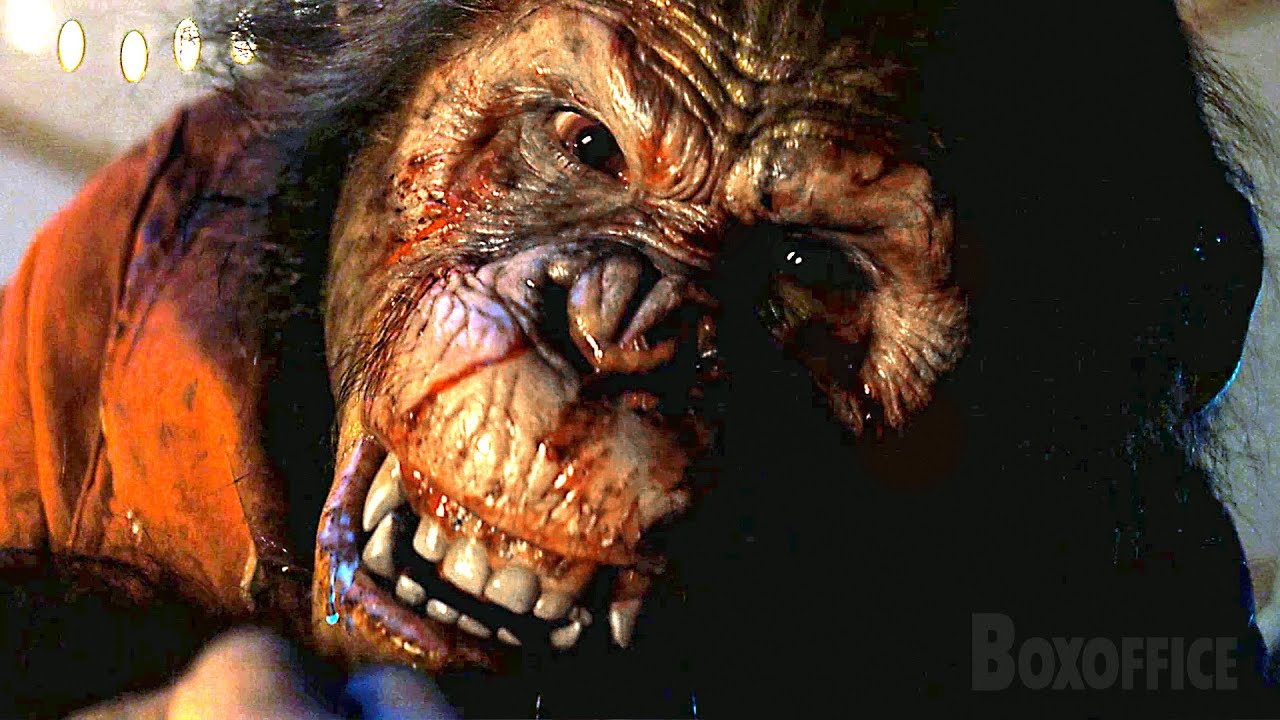 3V1 Chimp Fight | Primate | CLIP