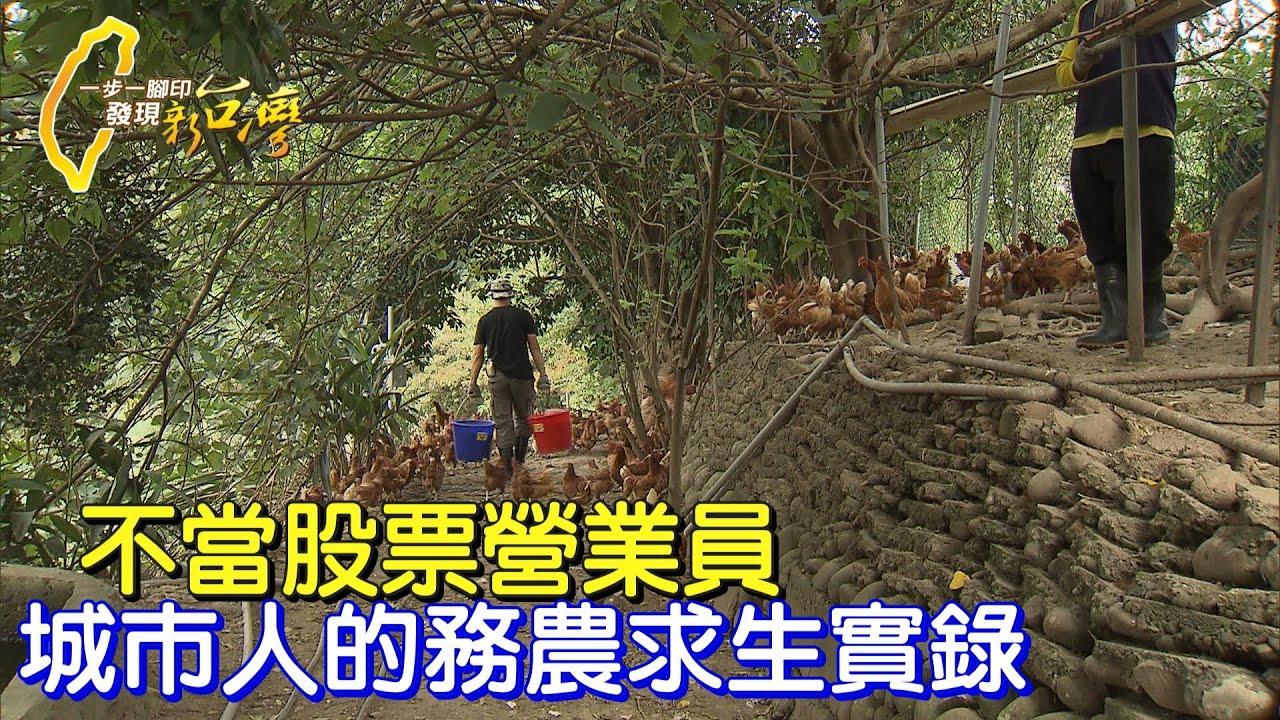 【新竹】種有機樹、煉頂級苦茶油、賣放養雞健康蛋.傻子精神為友善農業闖出路∣一步一腳印【城市農夫求生記】20211114