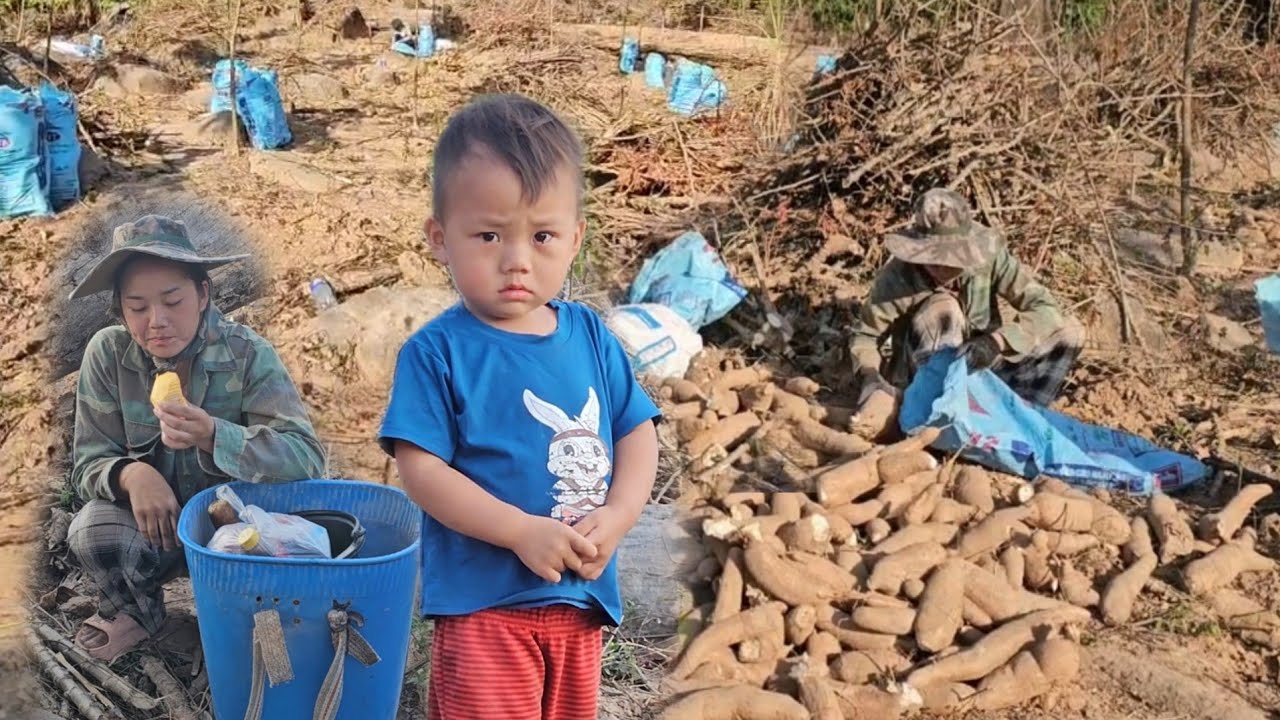 7 กุมภาพันธ์ ค.ศ. 2026