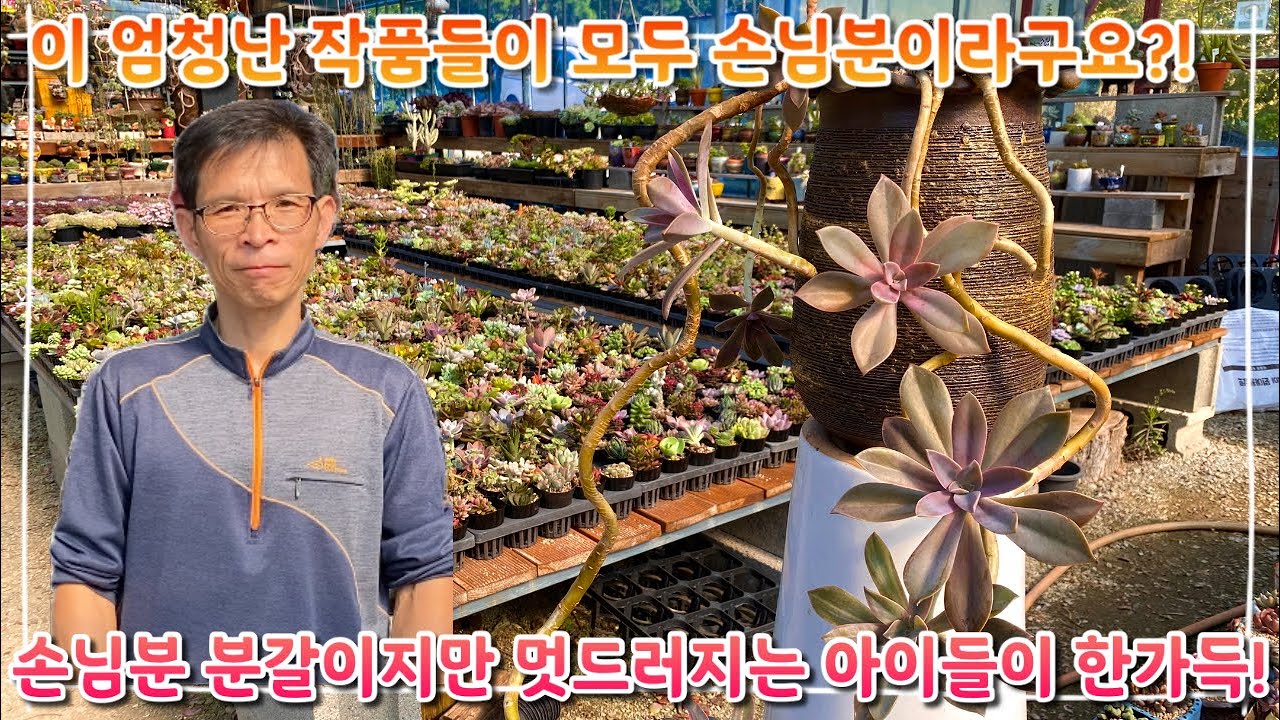 이게 다 손님분이라구요?! 손님분이지만 엄청난 작품들의 탄생 !!