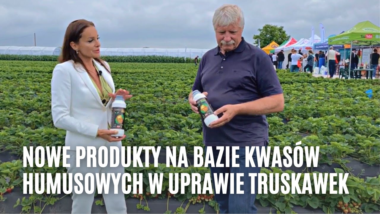 Nowe produkty na bazie kwasów humusowych w uprawie truskawek
