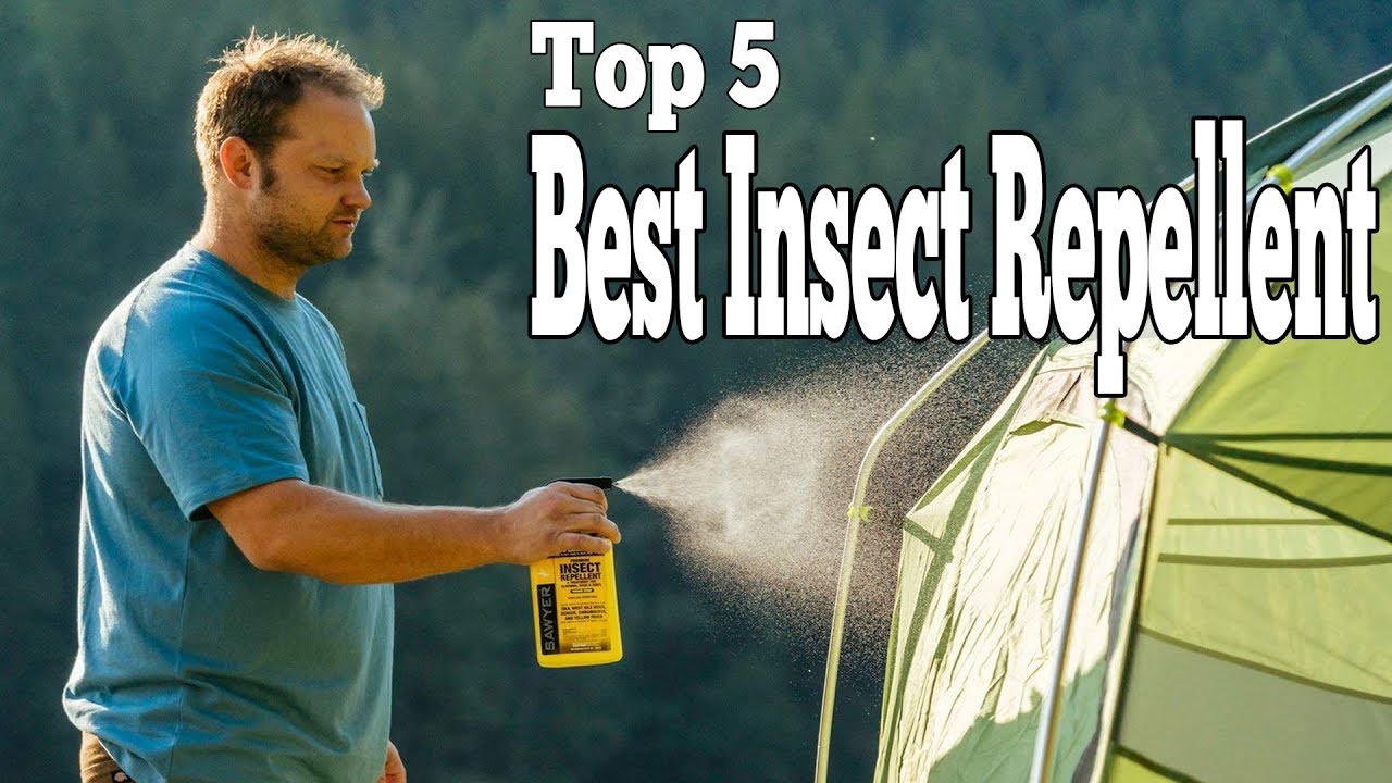 Best Insect Repellent | Best Bug Sprays On Amazon