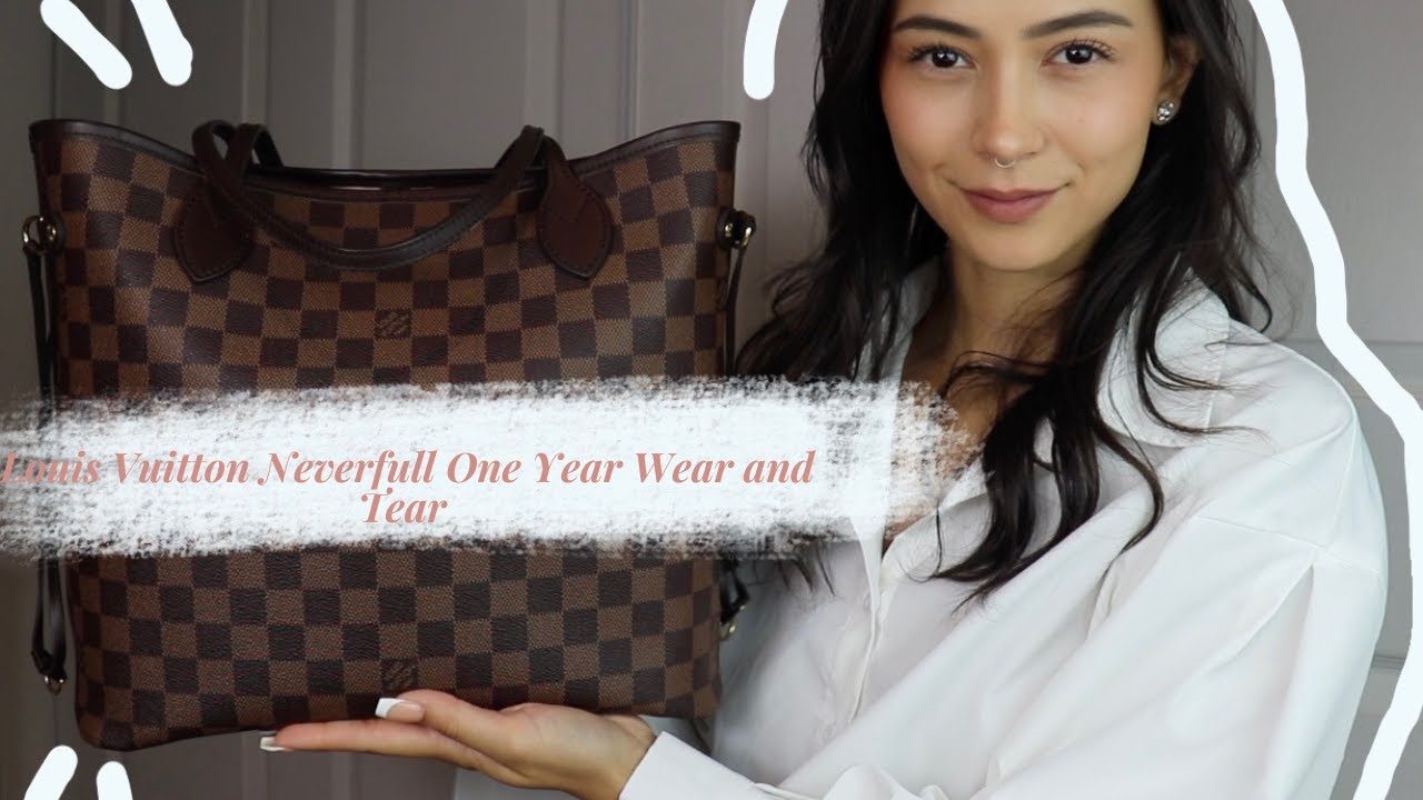 1 Year Review: Louis Vuitton: Neverfull MM Damier Ebene Rose Ballerine