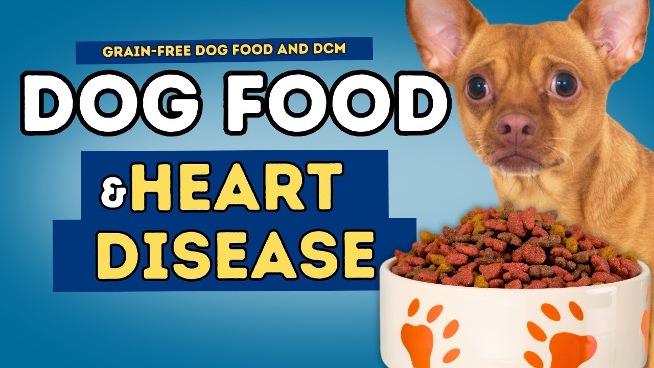 Grain-Free Dog Food STILL Causing Heart Disease? New FDA Update Revealed!