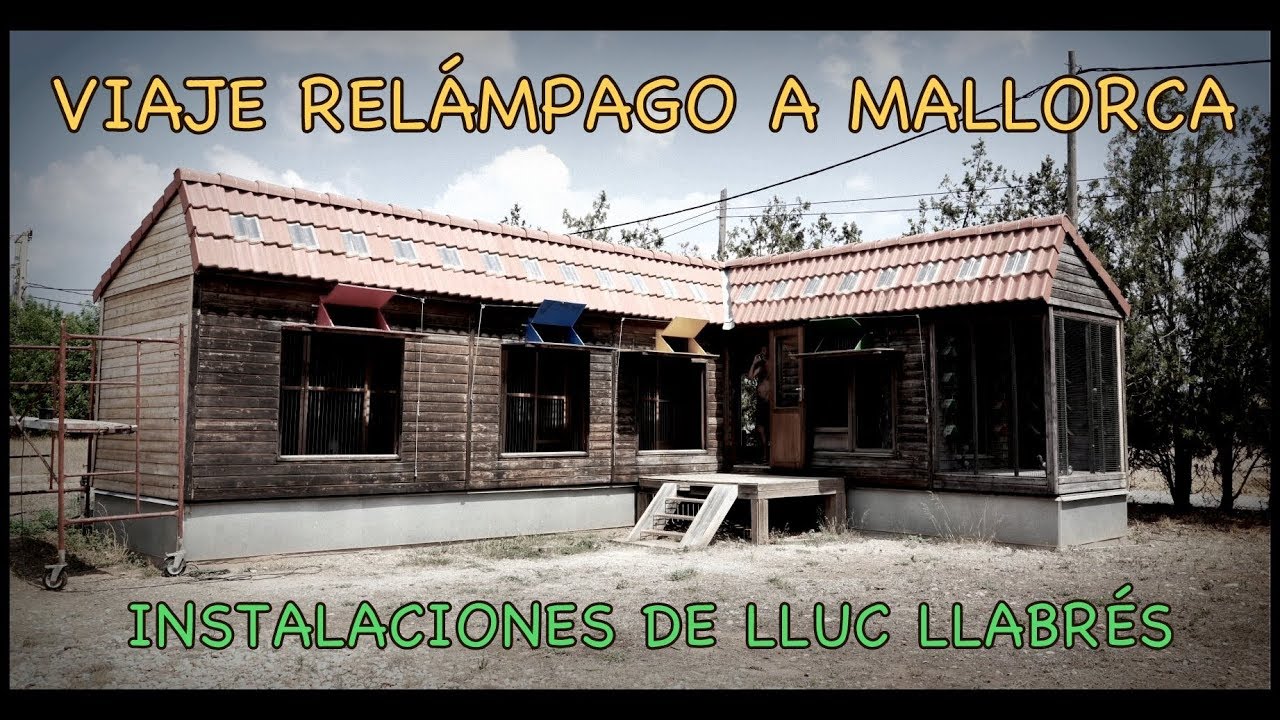 Palomas mensajeras & Colombofília. Viaje relámpago a Mallorca