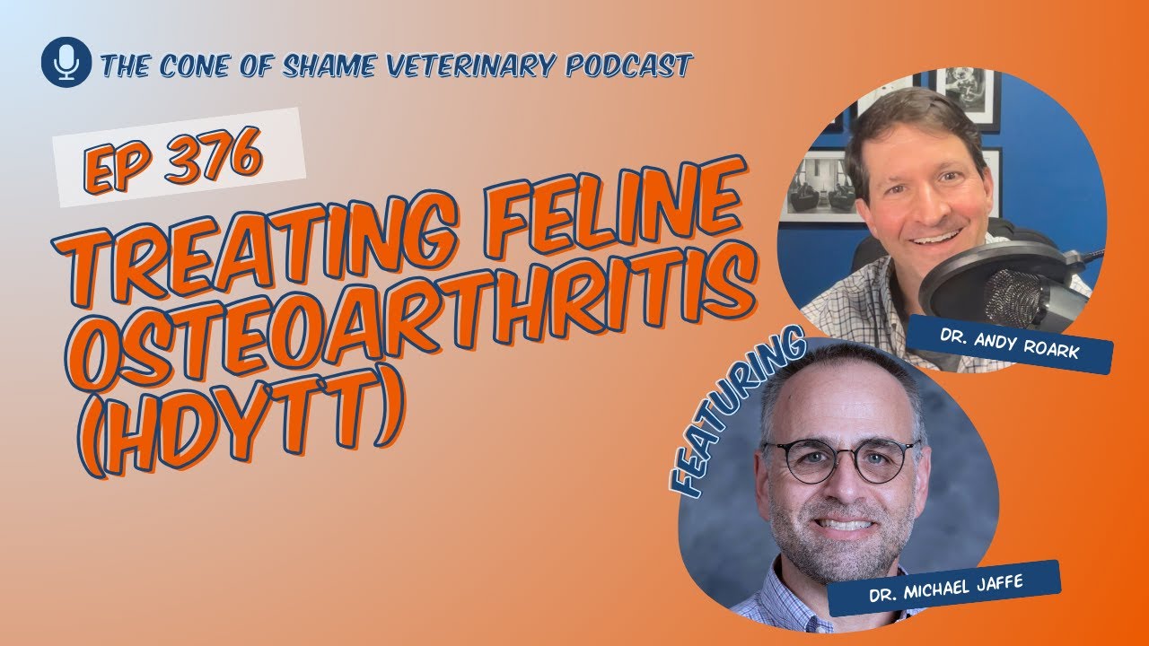 376 - Treating Feline Osteoarthritis (HDYTT)