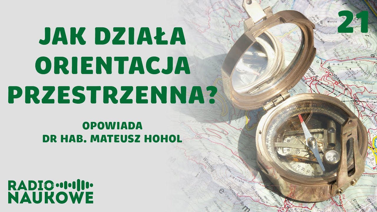 Jak mr&oacute;wka trafia do mrowiska, a człowiek do domu? O orientacji w przestrzeni | dr Mateusz Hohol