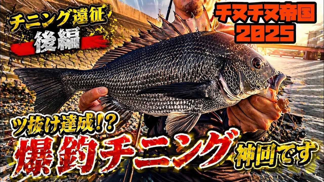 【チニング】神回！もうバイトが止まらないッ！チニング遠征-後編 #チヌ #チニング #チヌチヌ帝国