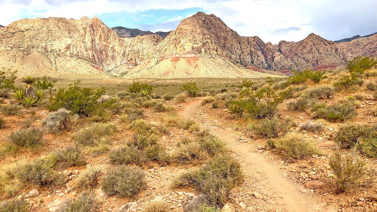 Best Red Rock Canyon Mountain Biking | Las Vegas, Nevada