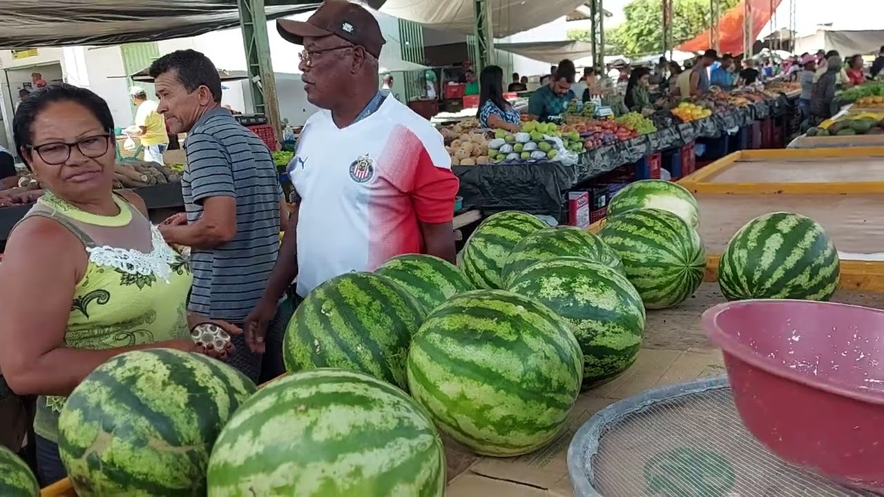 feira de quixabeira bahia