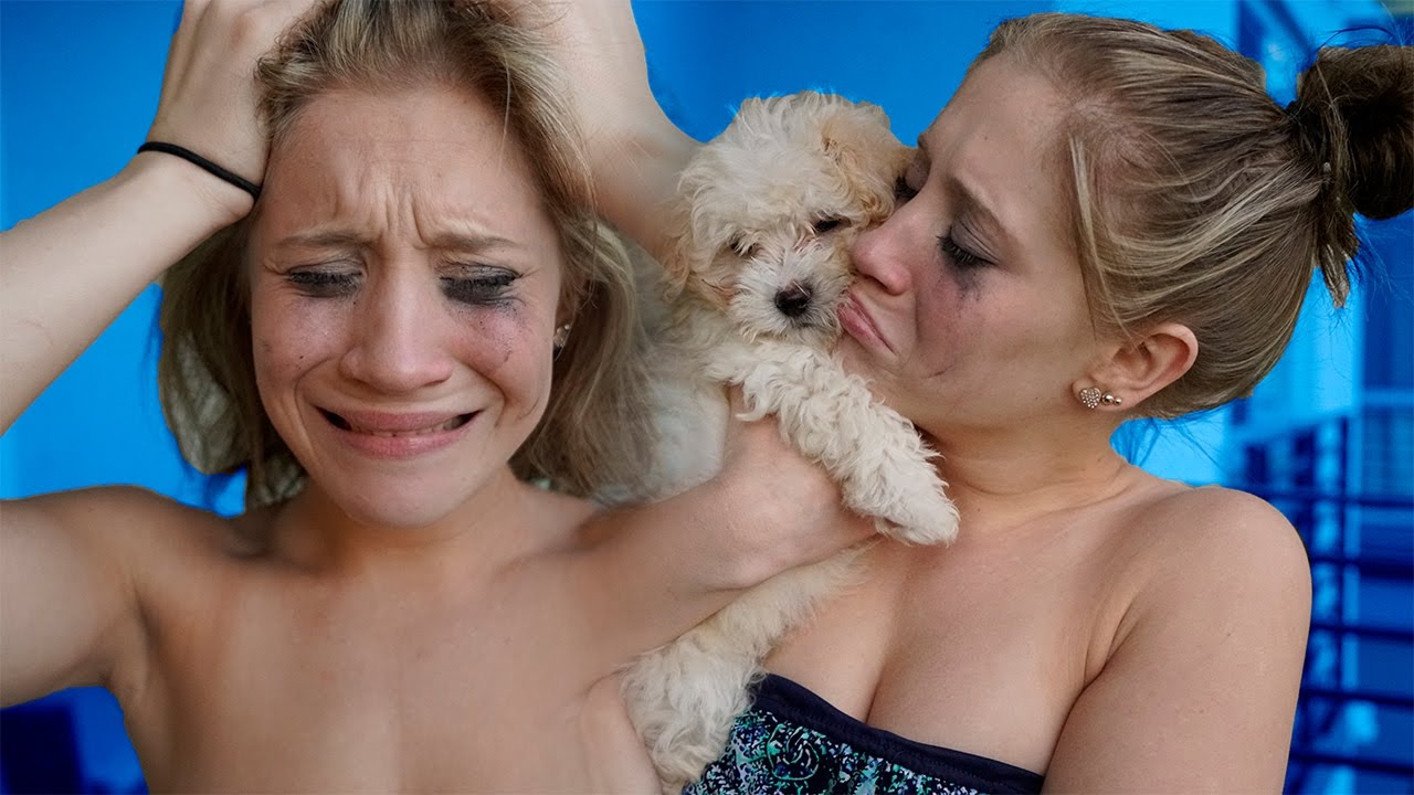 LOST DOG SCARE PRANK ON MY GIRLFRIEND (PUPPY)