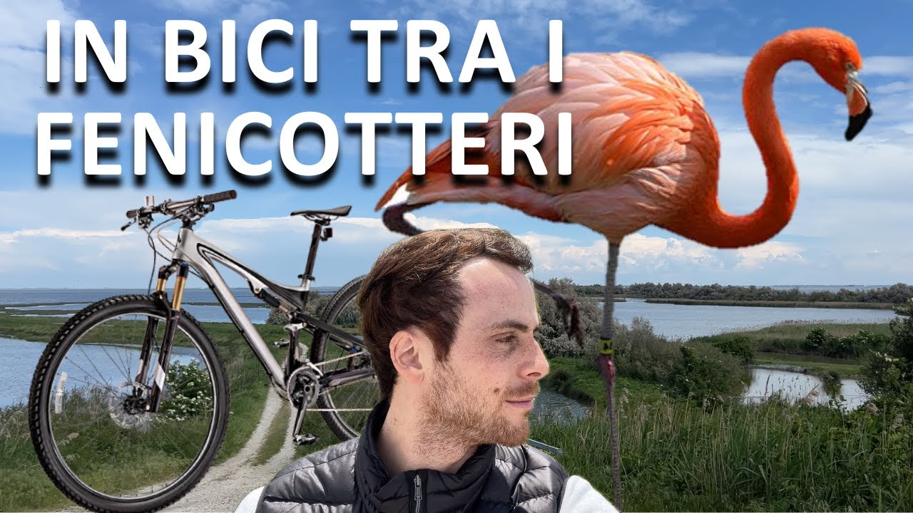 In Bici tra i Fenicotteri sul Delta del Po