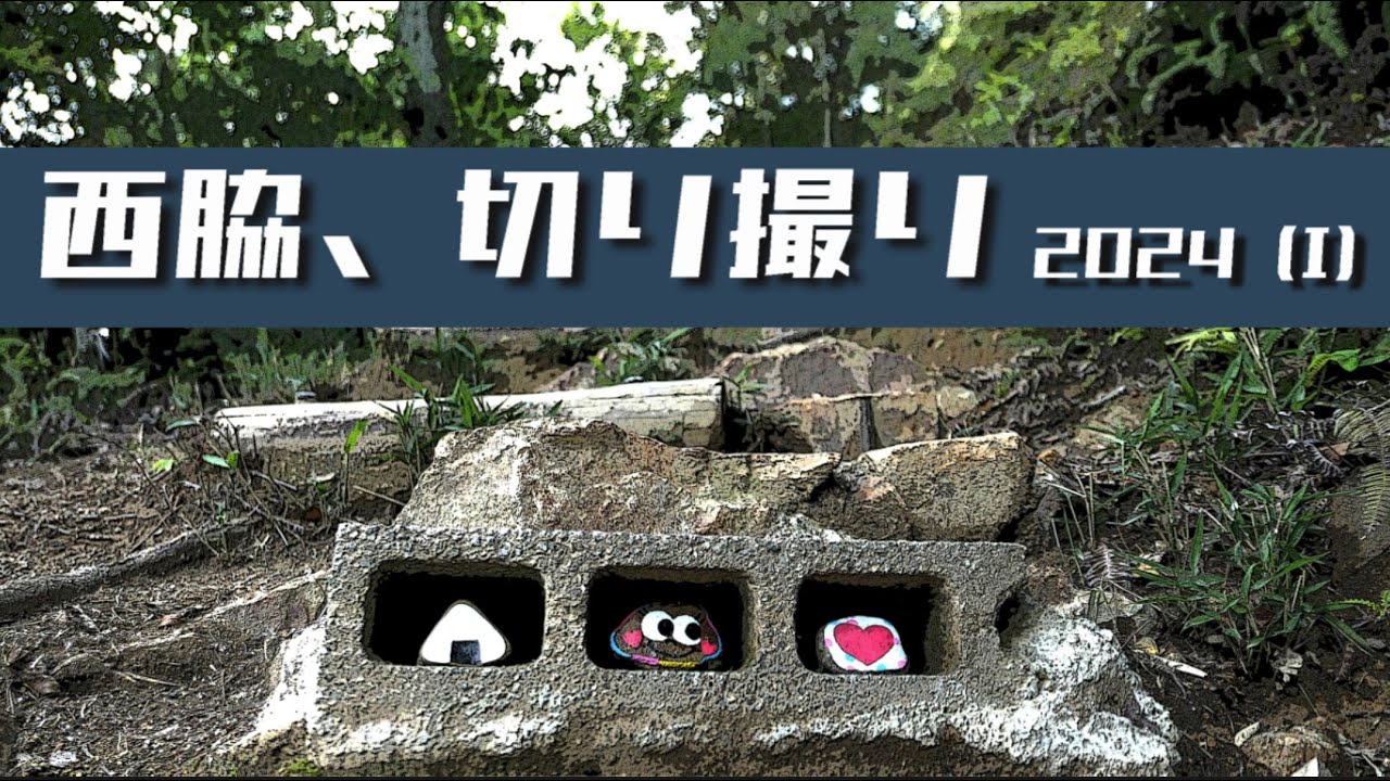 西脇、切り撮り 2024(1)