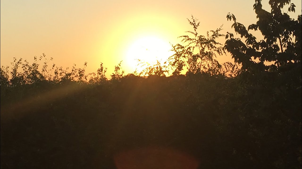 Yerushalayim Shel Zahav (Jerusalem of Gold) ~ Naomi Schemer      ~David und Sofie Thomas~
