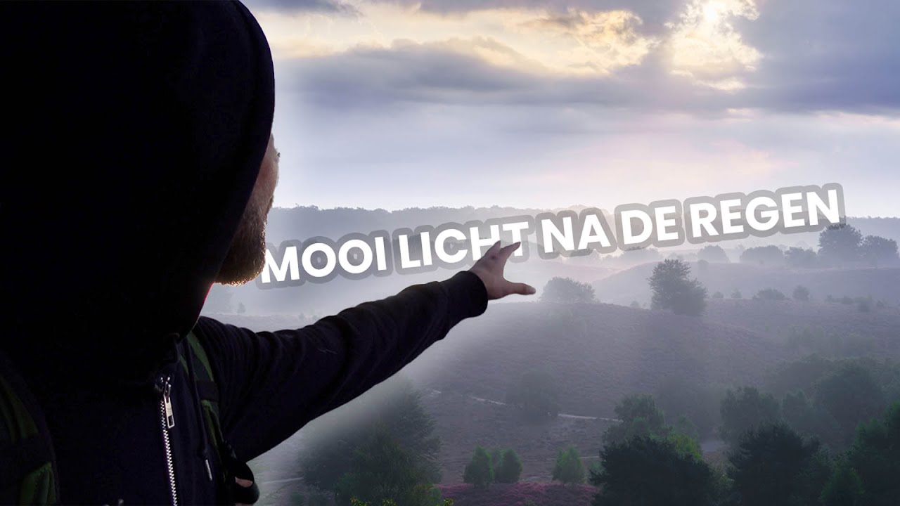 De paarse heide op de Posbank fotograferen na de regen ☔️