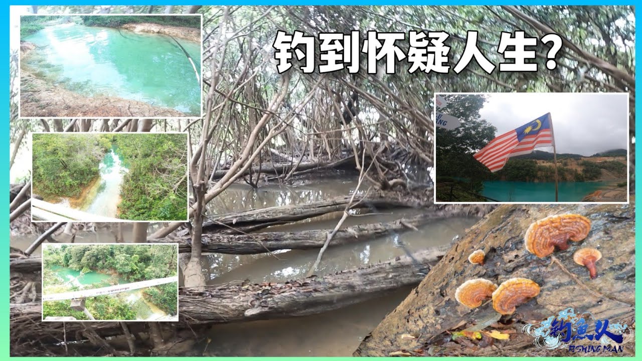 趴趴走一日钓游//享受大自然风景 优美的环境让人想放下钓竿【钓鱼人】