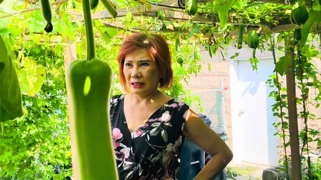 Tập 6: không ngờ giây su của Ngoại trồng chơi mà trái khủng khiếp . Thú vui của Ngoại 88t là đây ..!