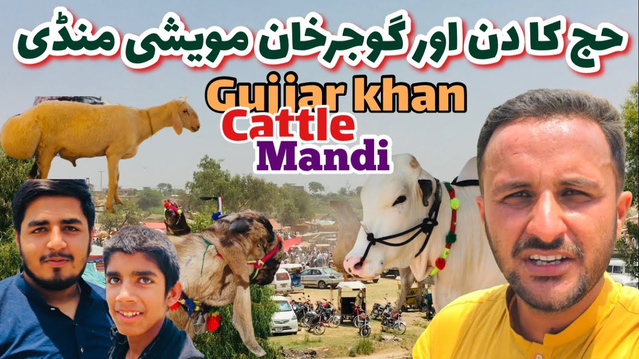 Gujjar Khan Bakra Mandi Before Eid Day