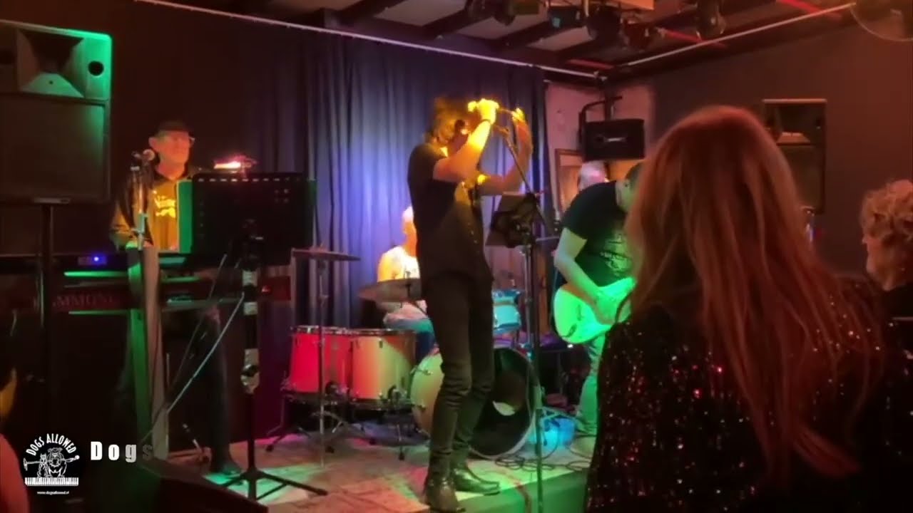 Dogs Allowed Live @ De  Comm Groesbeek 2024
