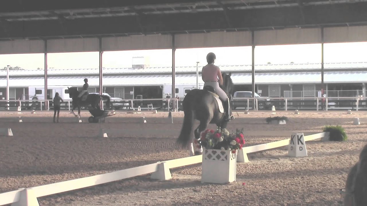 Judging Remarks Dressage Test 3rd Level Test 3