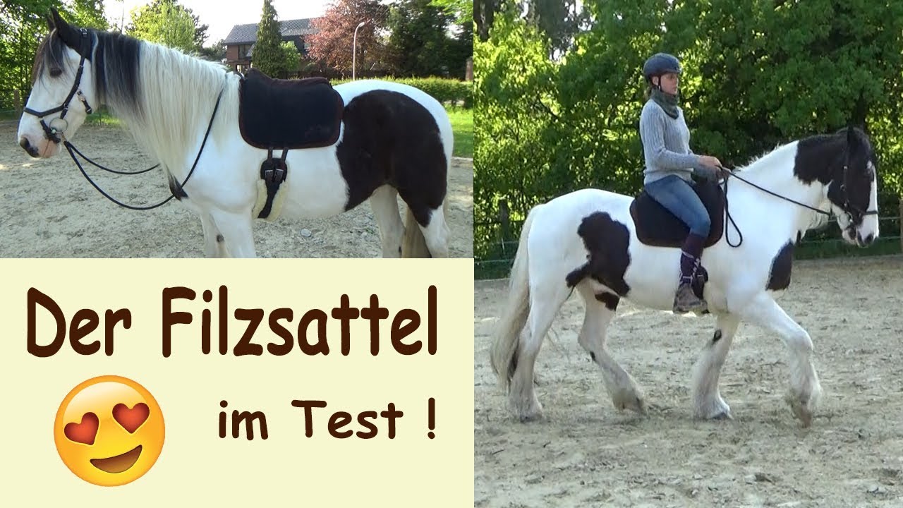 Der Filzsattel im Test. Die baumlose Alternative zum Sattel UND Reitpad ?!
