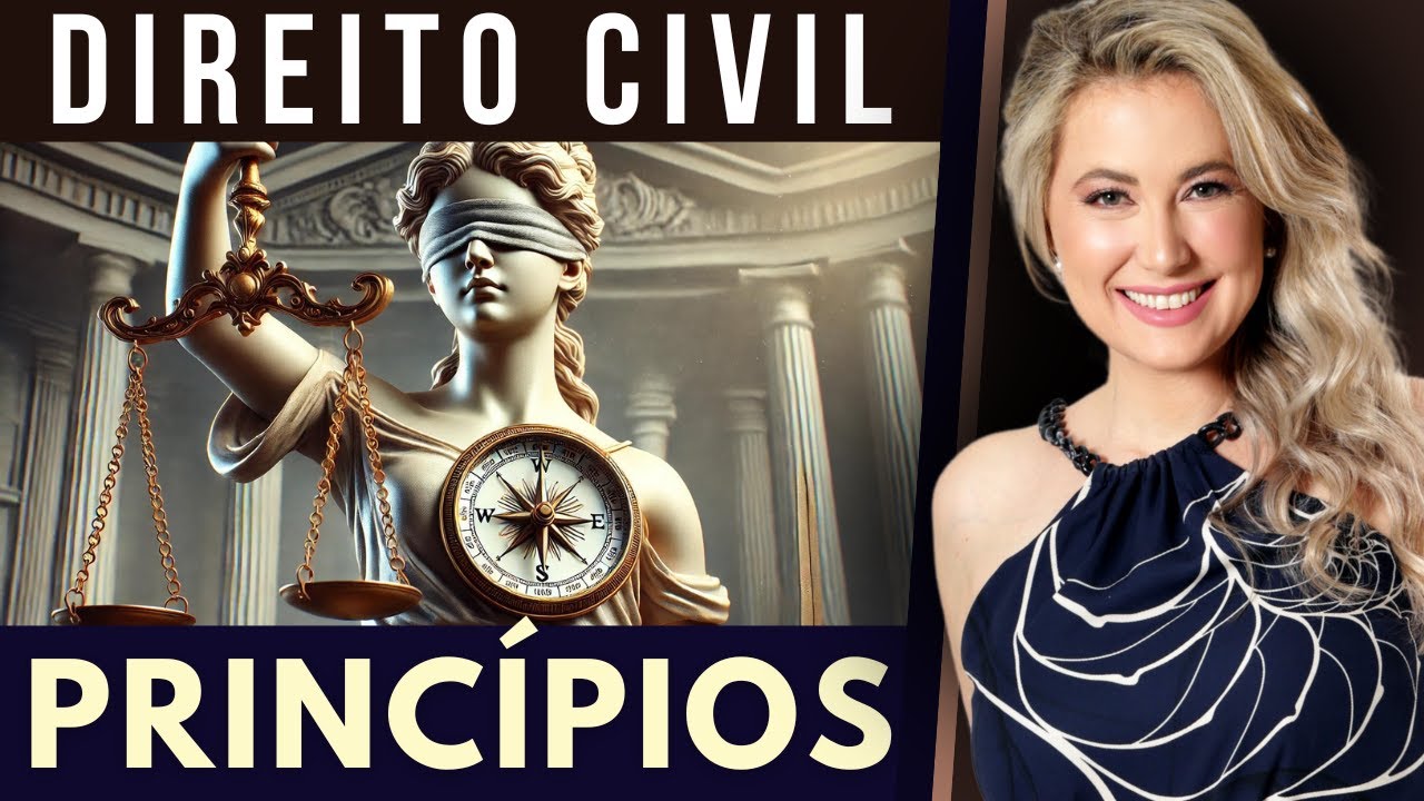 Princ&iacute;pios do DIREITO CIVIL - Resumo e Exemplos