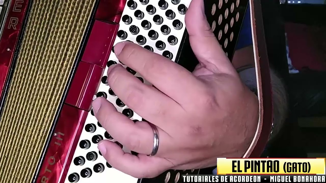 BAJOS: EL PINTAO (Gato - Folklore)
