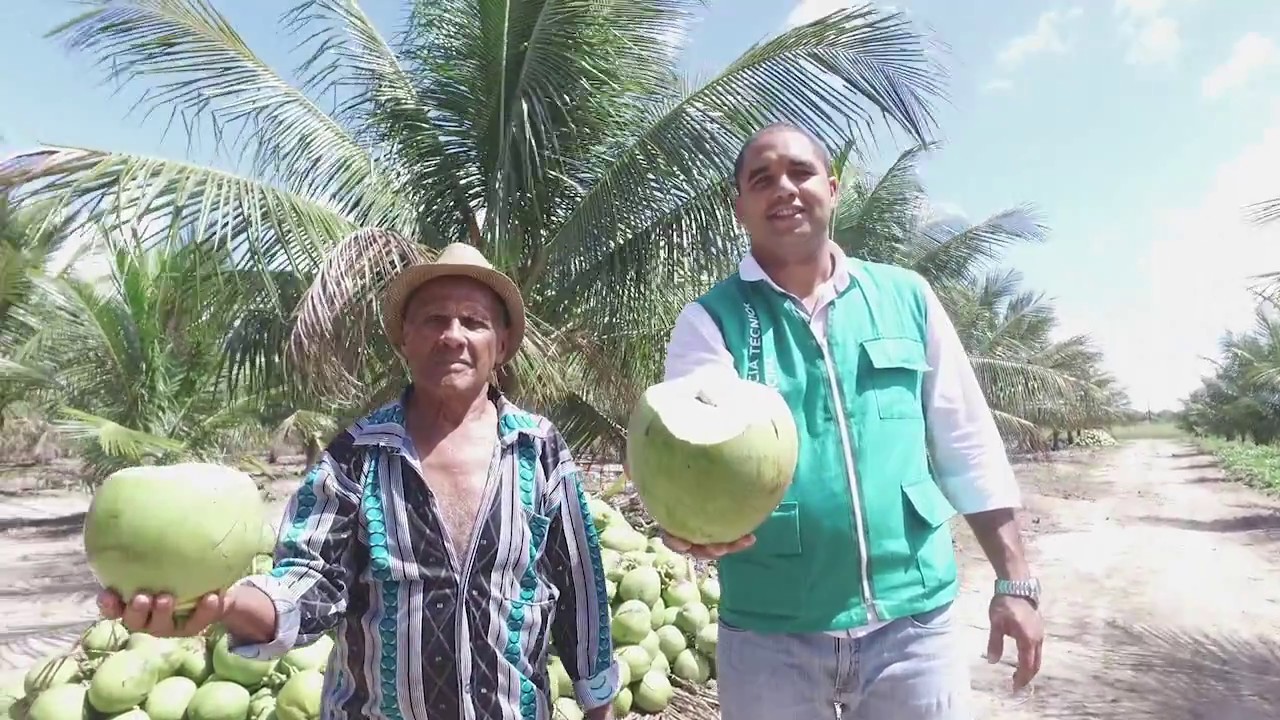 SENAR EM CAMPO - Histórias de Sucesso/ Coco (PB)