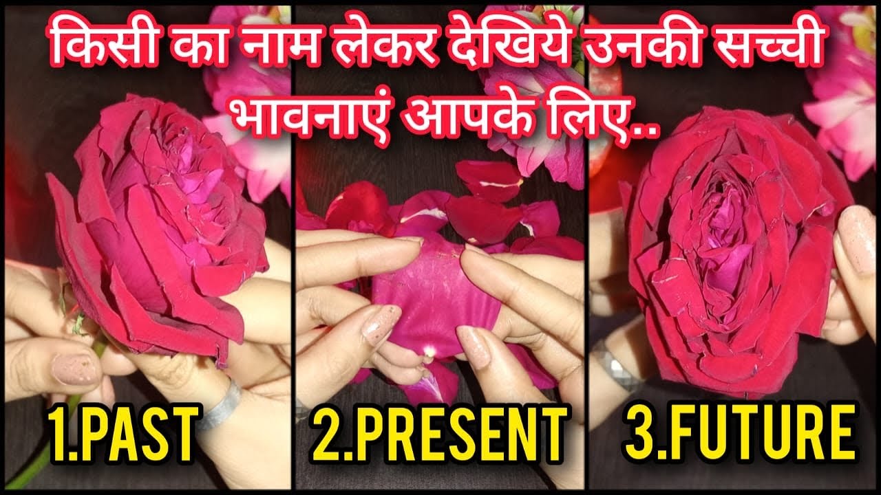 🔥ROSE PETAL READING - UNKI PAST,PRESENT & FUTURE KI TRUE CURRENT FEELINGS APKE LIYE HINDI TAROT
