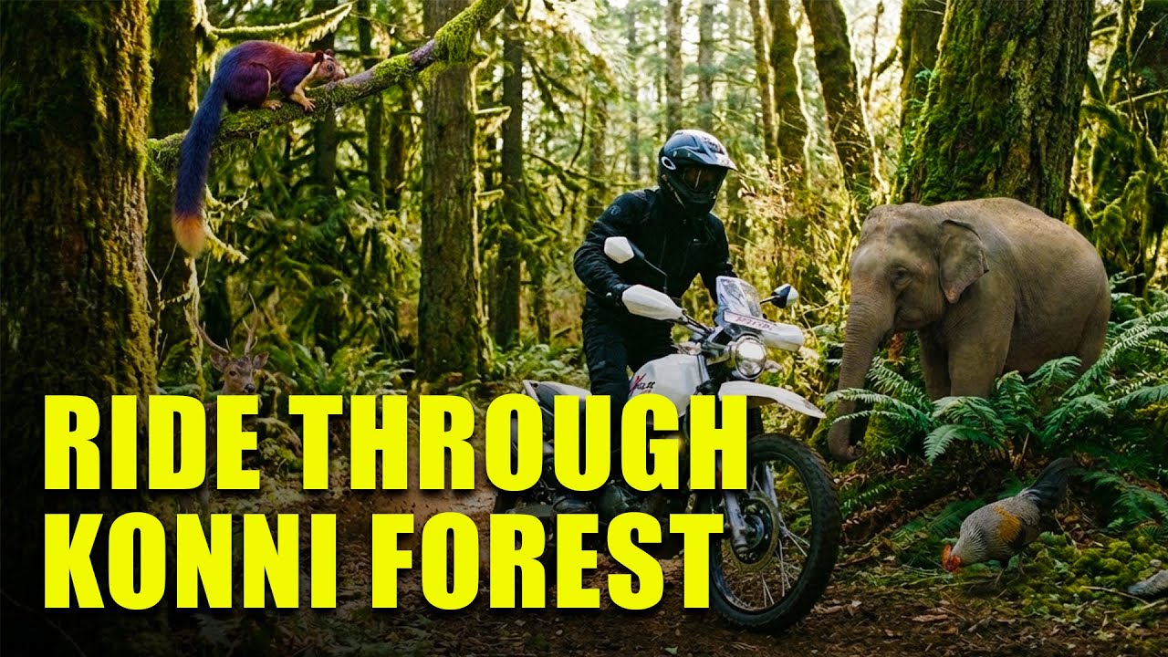 ആനയിറങ്ങുന്ന കൊടും കാട്ടിലൂടെ ഒരു BIKE യാത്ര | KONNI ACHANKOVIL FOREST ROAD ON XPULSE RALLY PRO