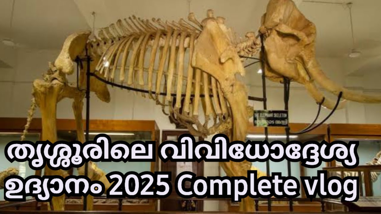തൃശ്ശൂരിലെ വിവിദോദ്ദേശ്യ ഉദ്യാനം 2025 Complete Vlog /Thrissur Vividhodeshya Udyanam Complete Vlog