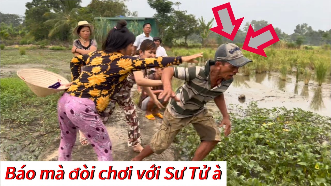 3 Con Báo chọc ghẹo 3 Con Sư Tử và Cái Kết