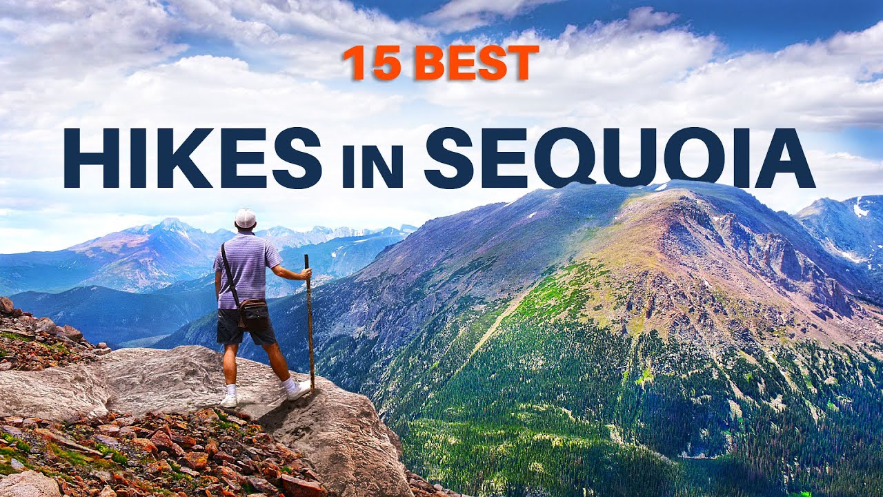 Top 15 Hikes In Sequoia National Park, California