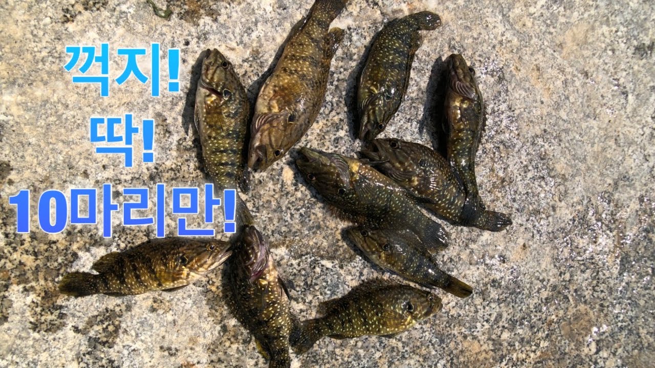 꺽지낚시 정말 재미있습니다!