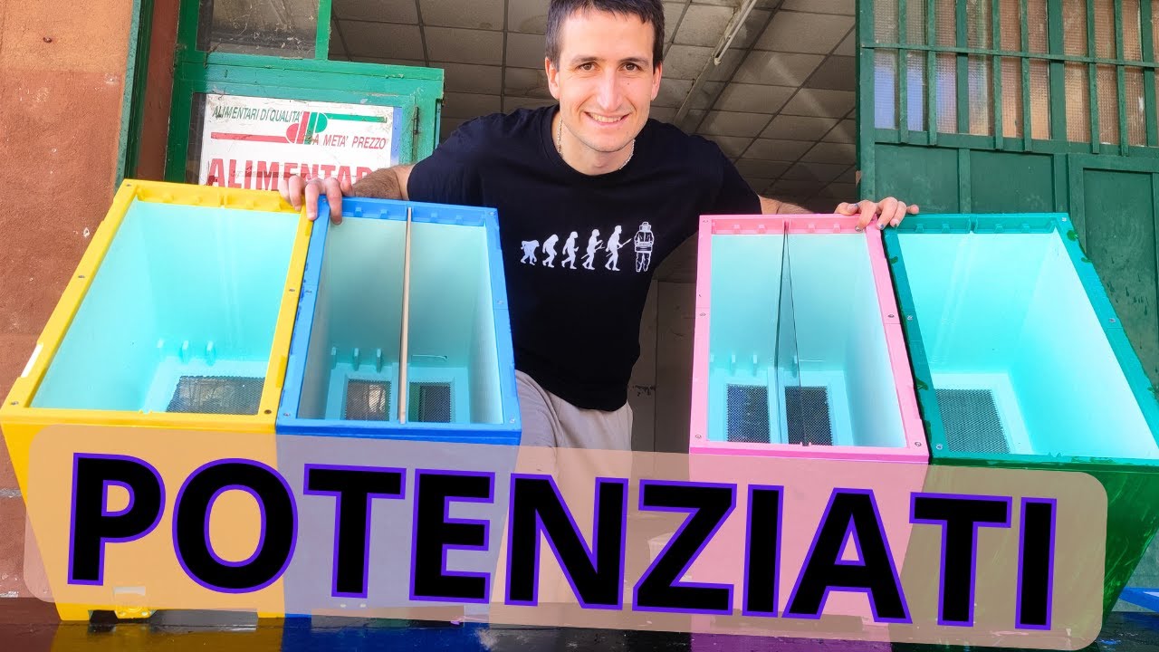Portasciami che non si usurano - Quarti