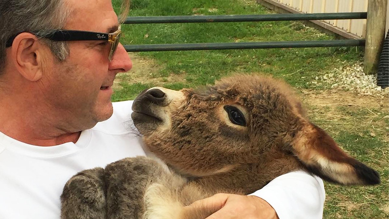 Donkeys Smile And Sing When They See These Owners