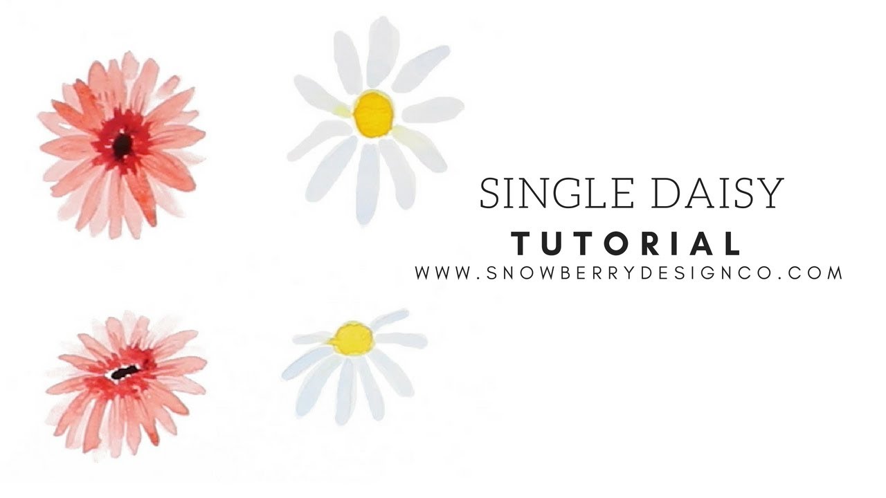 How to Paint a Single Daisy | BEGINNER WATERCOLOR TUTORIAL
