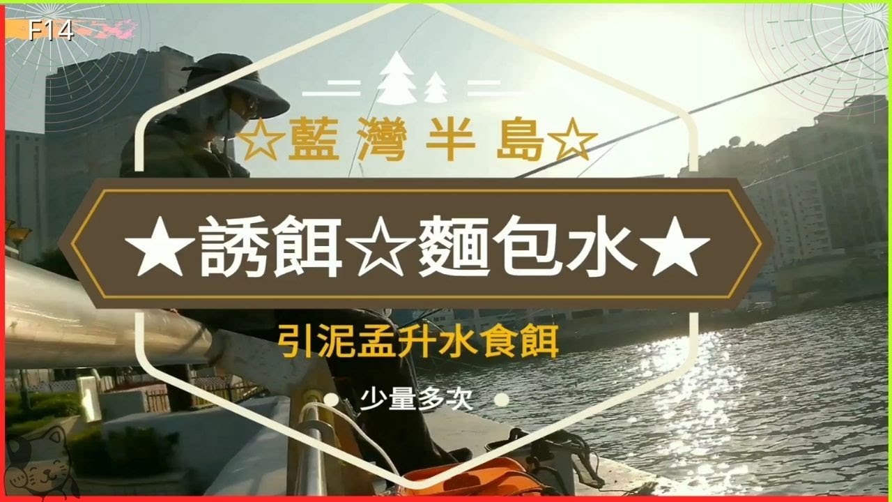 貓魚F14【打誘餌】1蝦2粉釣泥孟【傳統誘餌】麵包水都掂喎！藍灣半島測試||香港東【磯釣】步兵ong East【Infantry】Fishing