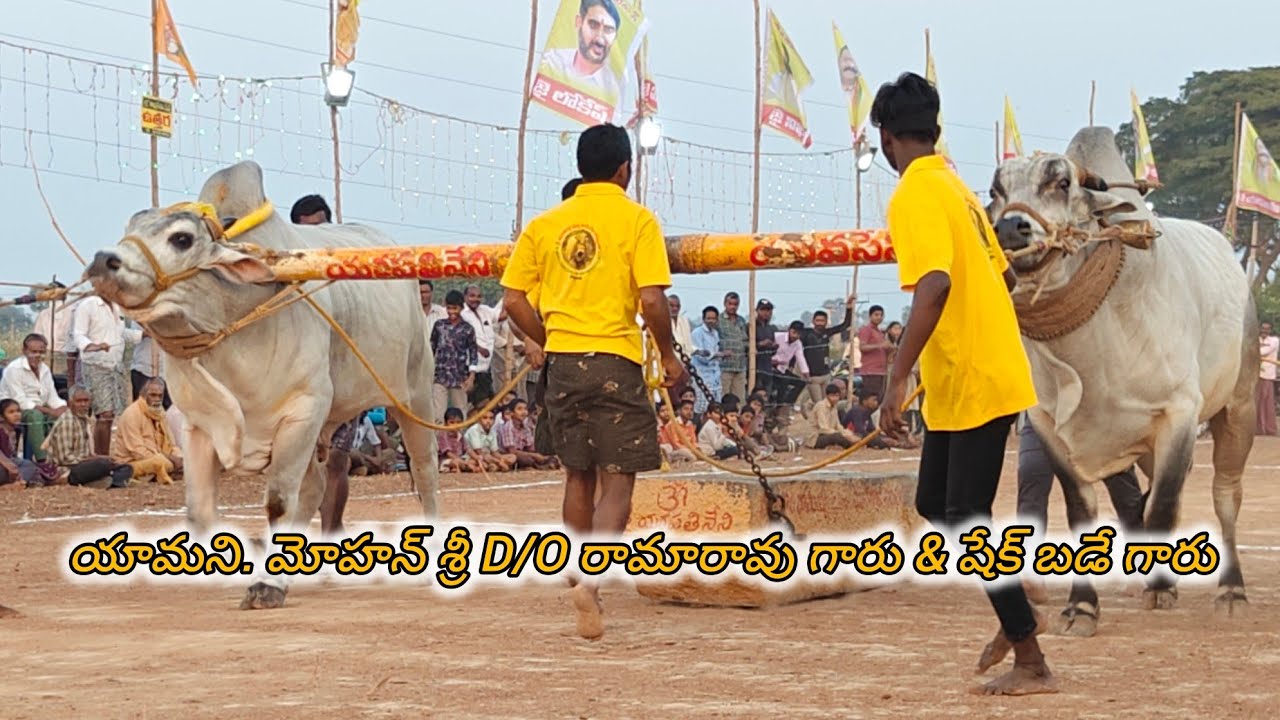 మాచవరం సబ్ జూనియర్స్ 1వ యామని. మోహన్ శ్రీ D/O రామారావు గారు Comind షైక్. బడే గారు