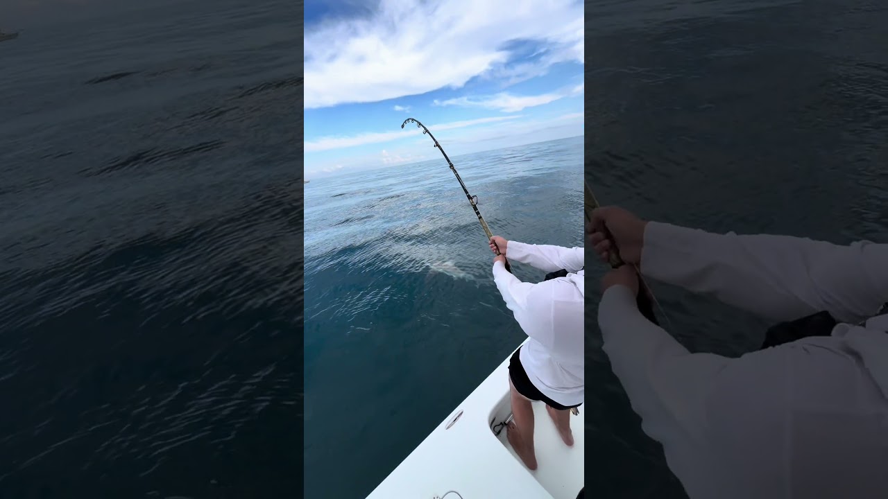Just when you think its over😭 #fishing #fish #shark