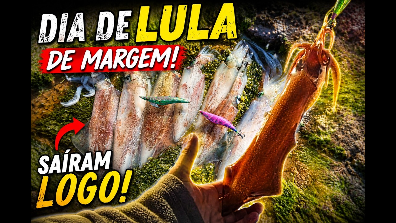 Pesca às lulas de margem ao amanhecer!