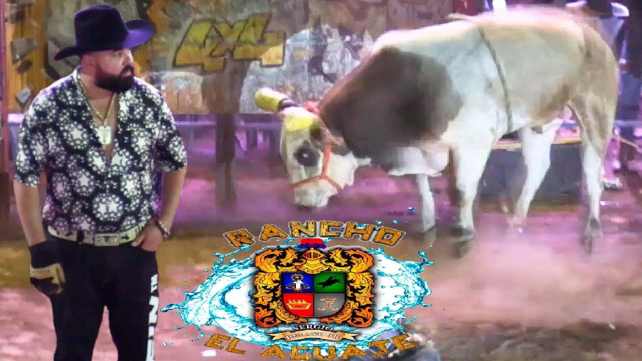 DIJO SERJIO FUERON ASTA AUTLAN A INVITARME Y NO LES PODÍA QUEDAR MAL. LLEGO A LA MACARENA DE URUAPAN