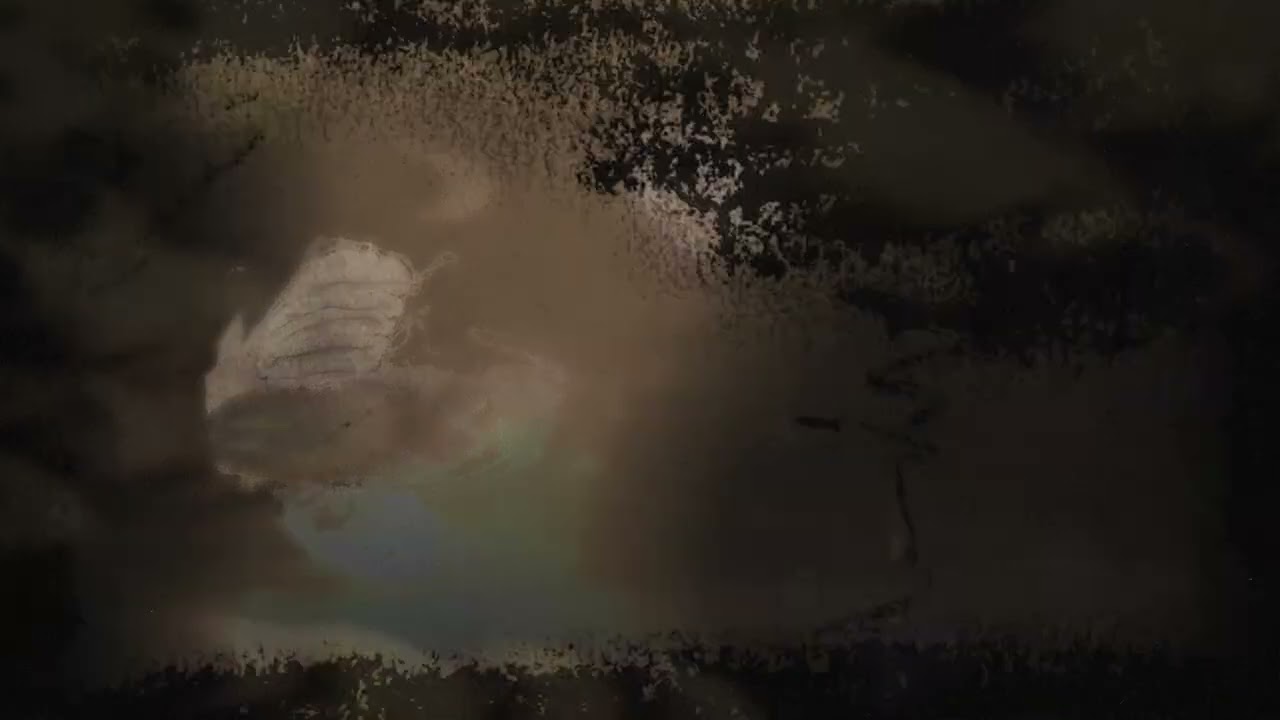 Midding - 'All For You' (Official Video)