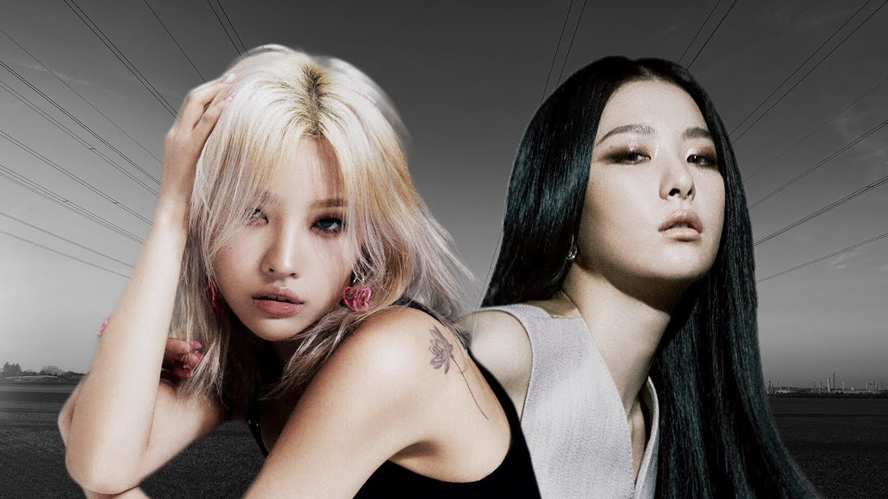 Seulgi & (G)I-DLE - 28 Reasons / LION (Mashup)