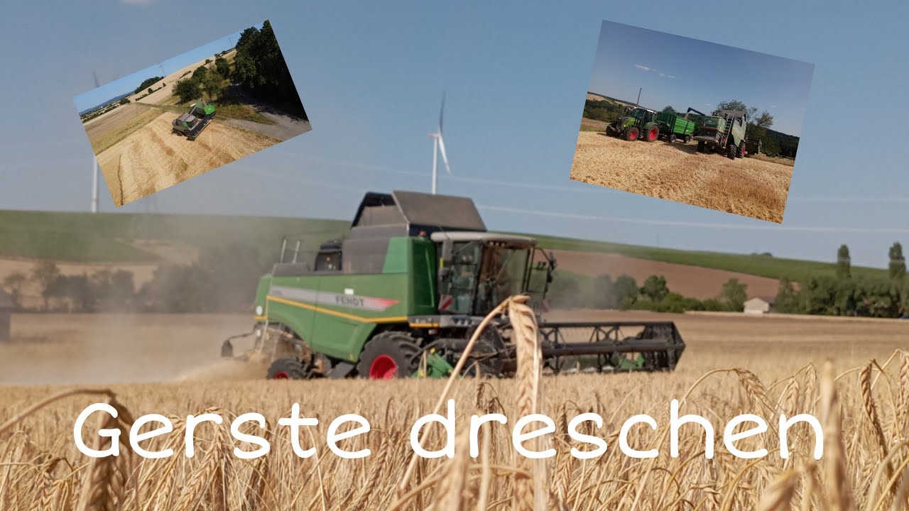 Gersten ernte 2023‼️|Mit Fendt 5255L😍💯🔥