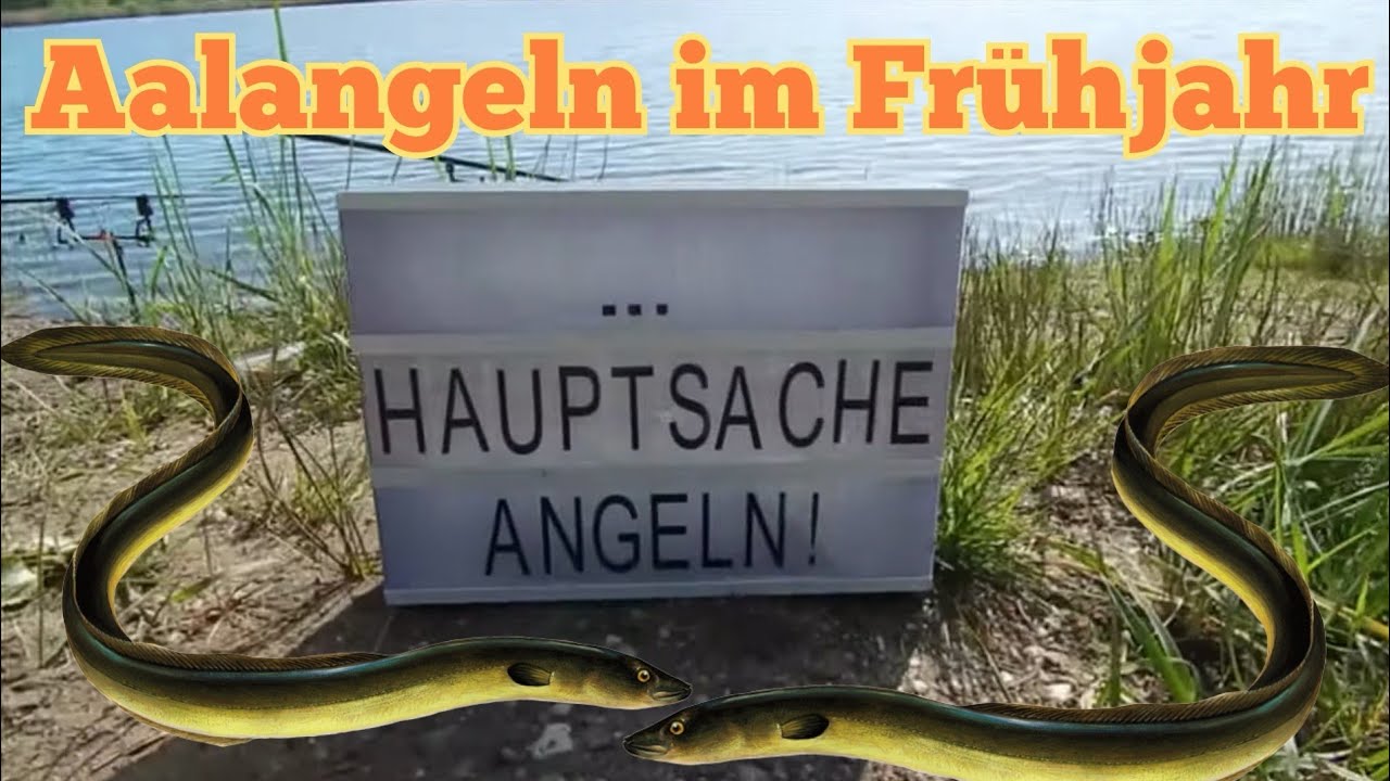 Aalangeln im Frühjahr