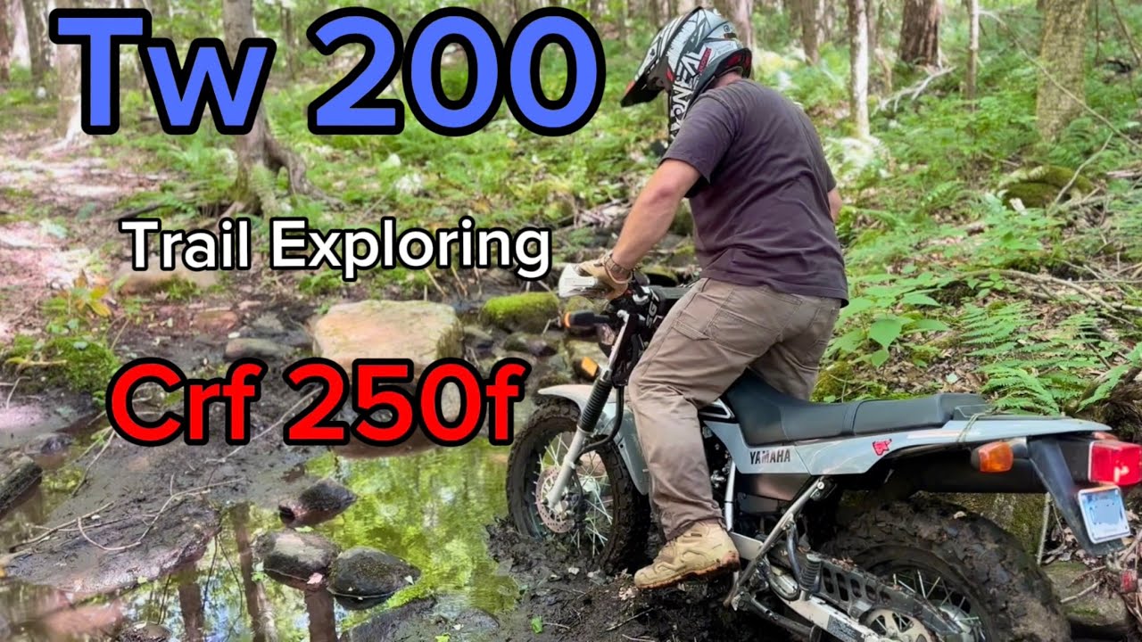 Tw200 in the woods | motovlog #tw200 #trending #motovlog #dualsport #crf250f