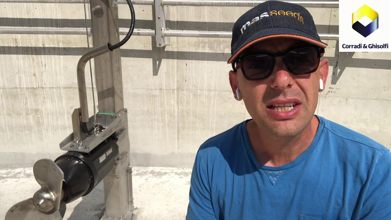 Biogas 300KW - SAL
