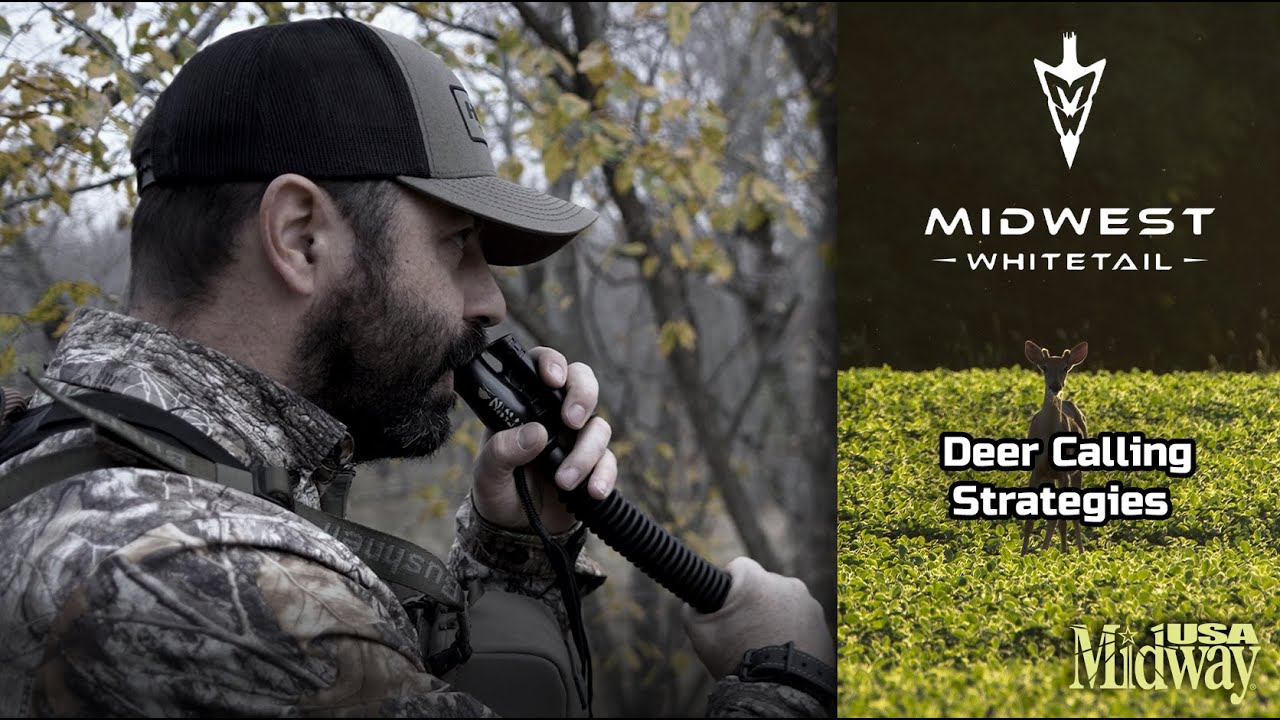 Best Deer Calling Strategies | Midwest Whitetail